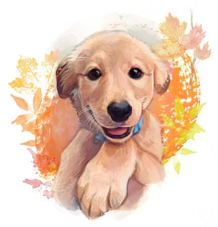 Happy golden retriever curiously looking up, illustration.